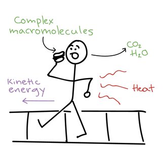 System and surroundings in the universe