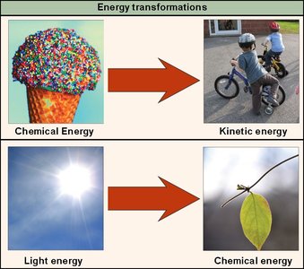 First Law of Thermodynamics