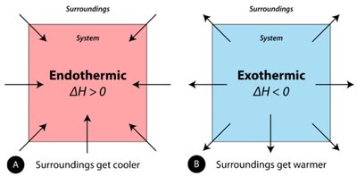 Endothermic and exothermic reactions