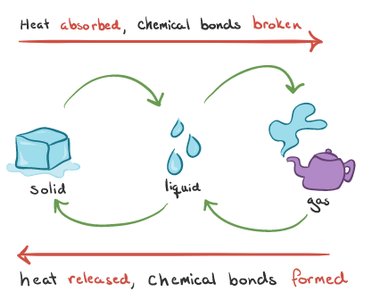 Heat absorbed and released in phase changes