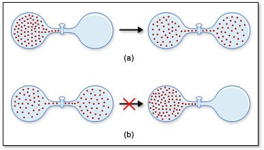 Second Law of Thermodynamics