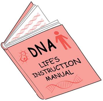 DNA instruction manual illustration