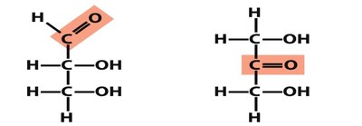 Aldose and ketose structures
