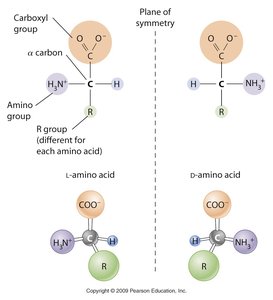 Chiral isomers of amino acids