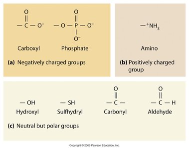 Chemical groups