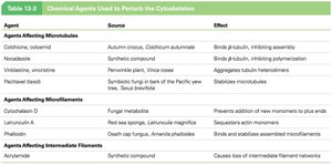 Table of chemical agents affecting cytoskeleton