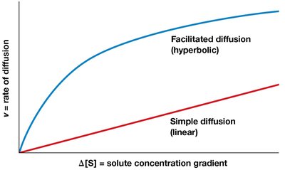 Direct and indirect active transport mechanisms