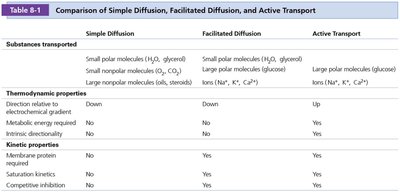 Comparison table of simple diffusion, facilitated diffusion, and active transport