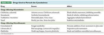 Table of drugs affecting microtubules and microfilaments