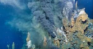 Hydrothermal vent ecosystem