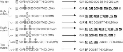 Frameshift mutations and their effects on reading frames