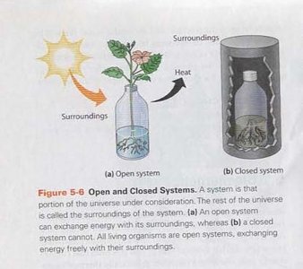 Open and closed systems: energy exchange