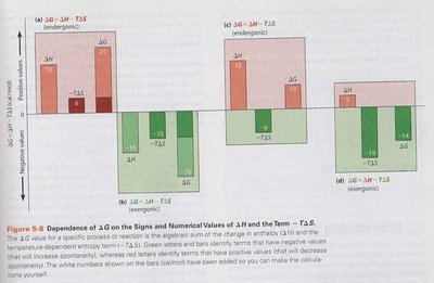 Dependence of ΔG on ΔH and TΔS: exergonic and endergonic reactions