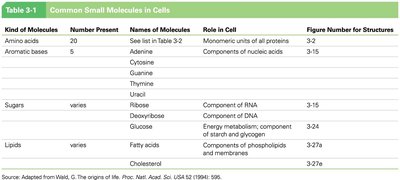 Table of common small molecules in cells