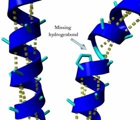 Protein motifs: β–α–β, hairpin loop, helix-turn-helix