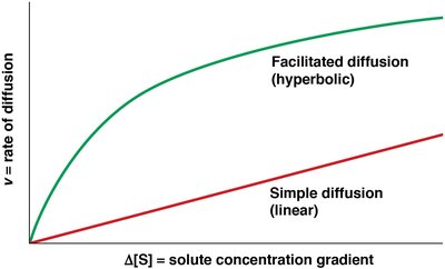 Facilitated diffusion vs. simple diffusion rates