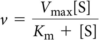 Saturation kinetics equation