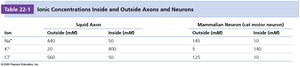 Table of ionic concentrations inside and outside neurons