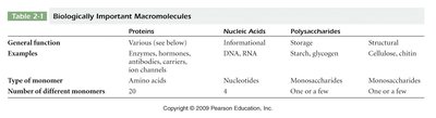 Biologically important macromolecules