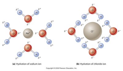 Water as a solvent