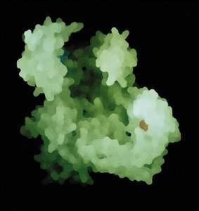Prokaryotic rRNA structure and ribosome subunits