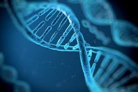 DNA double helix, representing nucleic acids
