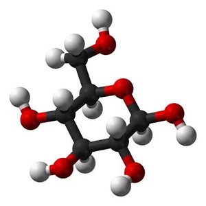Molecular model of glucose, a monosaccharide