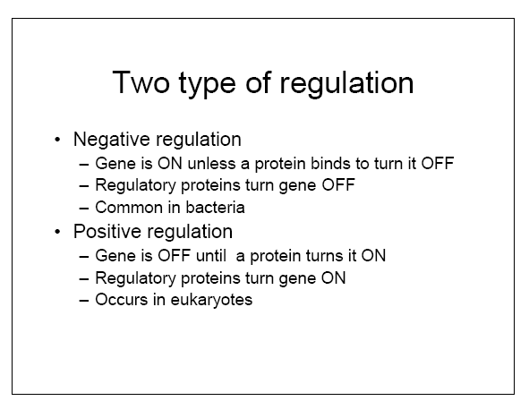 Two types of regulation: negative and positive