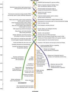 Cell biology timeline: cytology, biochemistry, genetics
