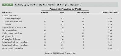 Table of protein, lipid, and carbohydrate content in membranes