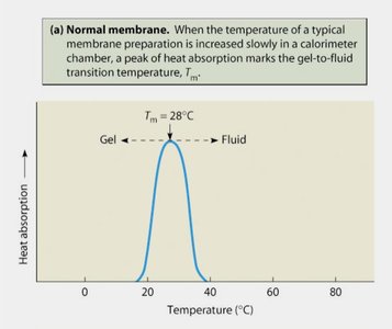 Differential scanning calorimetry: transition temperature