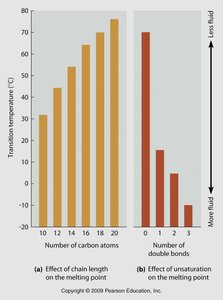 Effect of chain length and unsaturation on transition temperature