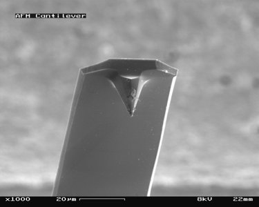 Atomic force microscopy setup