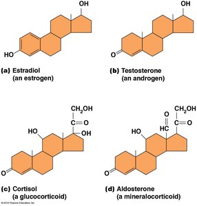 Steroid hormone structures