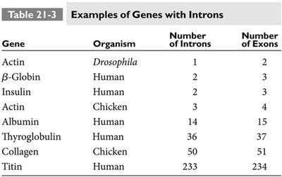 Table of genes with introns and exons