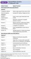 Table of selected motor proteins of eukaryotic cells