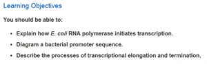 Learning objectives for bacterial transcription: initiation, promoter diagram, elongation, and termination