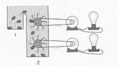Steady state diagram