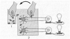 Steady state with energy input