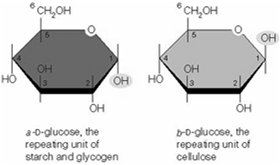 Alpha and beta glucose units