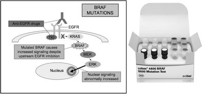 Molecular targeting of oncogenes