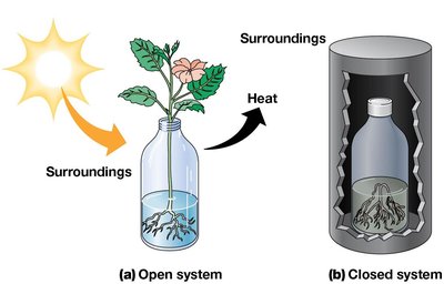 Open and closed systems