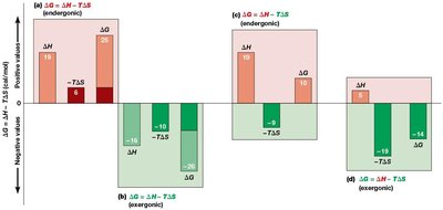 Dependence of ΔG on the signs and numerical values of ΔH and the term −TΔS
