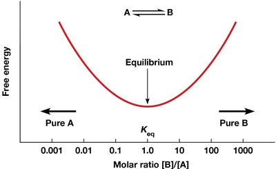Free energy and chemical equilibrium