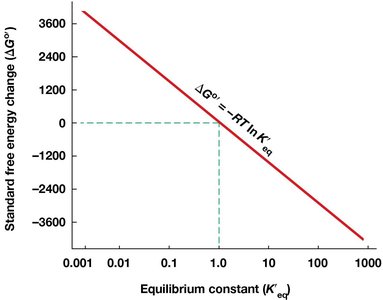The relationship between ΔG°′ and K′eq