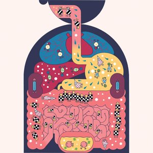Illustration of the human microbiome in the digestive tract