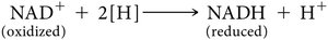 NAD+ reduction equation