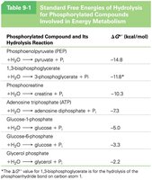 Table of standard free energies of hydrolysis for phosphorylated compounds