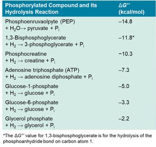 Table of standard free energies of hydrolysis