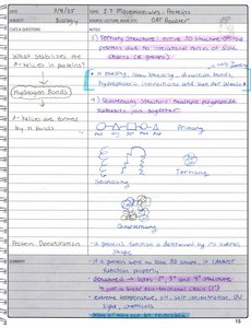 Macromolecule summary diagram